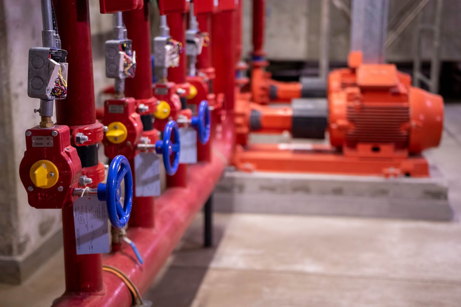 Hospital Italiano - IEP